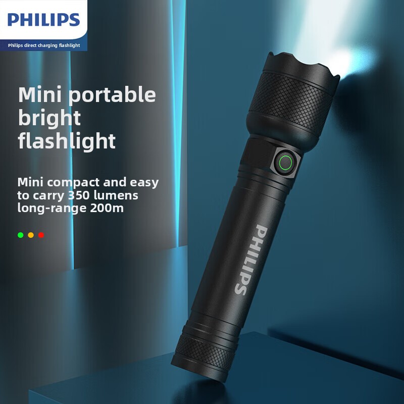 2025 신형 필립스 SFL2188 LED 알루미늄 합 - Zinc Outdoor Lighting 리뷰 및 가격