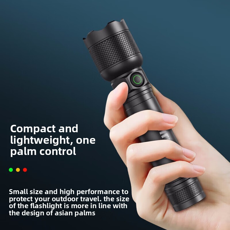 2025 신형 필립스 SFL2188 LED 알루미늄 합 - Zinc Outdoor Lighting 리뷰 및 가격